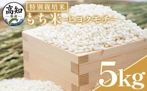もち米 ５kg 【令和8年産】高知県香南市産 特別栽培米 nu-0018