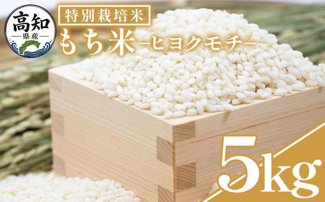 もち米 ５kg 【令和8年産】高知県香南市産 特別栽培米 nu-0018