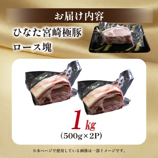 ひなた宮崎極豚ロース塊 500g×2P（豚肉 豚 ロース ブロック とんかつ トンテキ 生姜焼き）