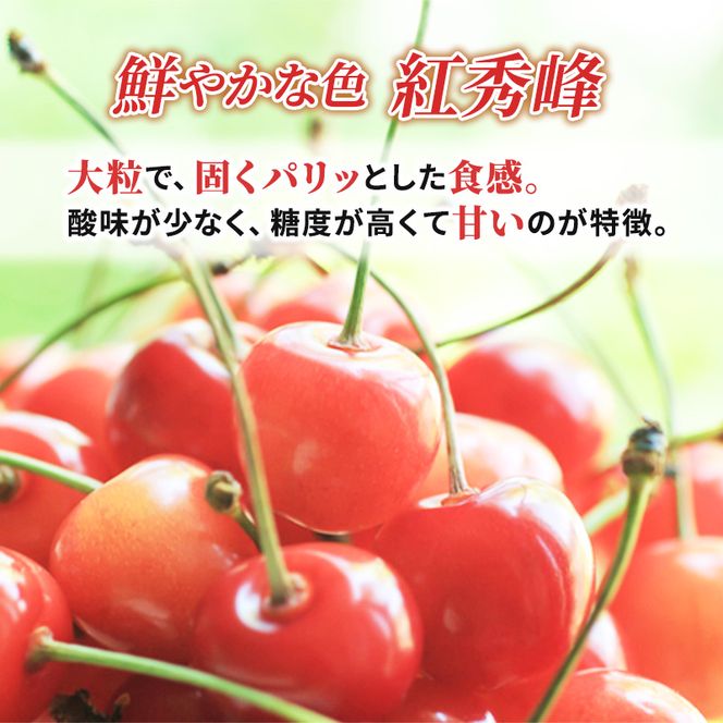 先行受付 北海道 仁木町産 さくらんぼ 紅秀峰 600g (300g×2パック) L-Mサイズ 混合　旬 桜桃 産地直送 サクランボ チェリー フルーツ 果物 果物類  仁木町 仁木 [松山商店]