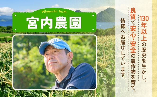 【ANA機内食採用】 北海道産 ゆめぴりか 5kg 2袋 計10kg 令和8年産 9月中旬より発送  財田米 精米  お米 ブランド米 国産 お取り寄せ 産地直送 宮内農園 送料無料 北海道 洞爺湖町