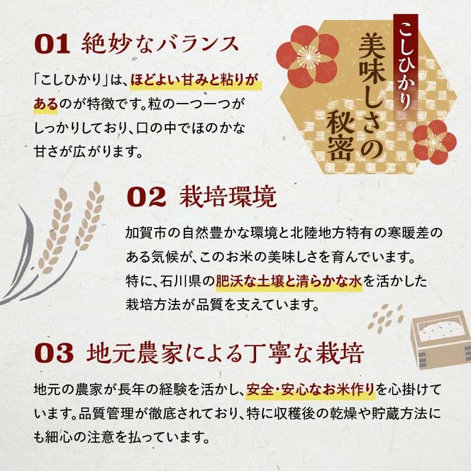 【通常発送】復興応援米 令和7年産こしひかり 5kg 精米 銘柄米 お米 米 ギフト 贈り物 グルメ 食品 復興 震災 コロナ 能登半島地震 復興支援 北陸新幹線 F6P-3206