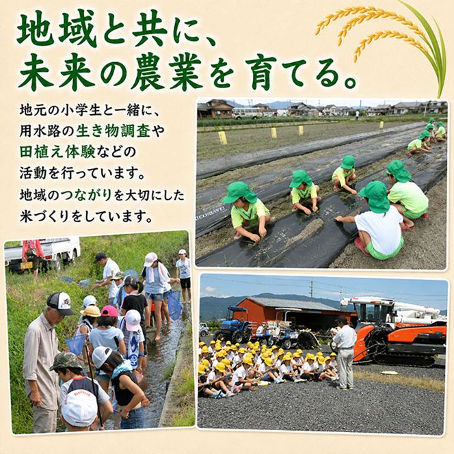 【令和7年産】特別栽培米 20kg【白米、7分ツキ】（コシヒカリ）