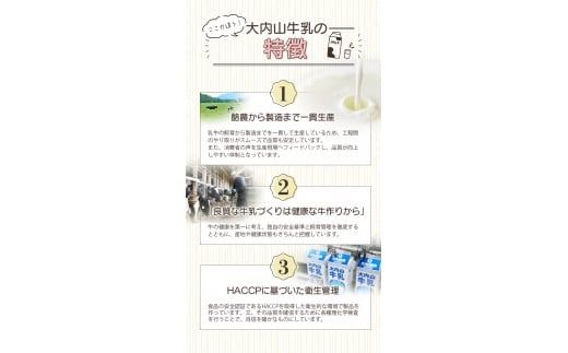 バター 大内山バター 2個 400g (200g×2個) / バター パン 料理 材料 お菓子 お菓子作り 有塩バター トースト 冷蔵 クリーム 国産 三重県産 チャーン製法【khy014B】