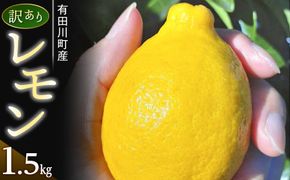 【有田川町】レモン 和歌山県産 訳あり 国産レモン1.5kg  	CE008