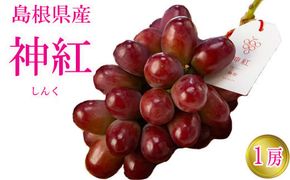 島根県オリジナル品種　神紅1房（600ｇ見当） 甘い 美味しい 新鮮  ぶどう フルーツ 果物 出雲市産 322032_CG003