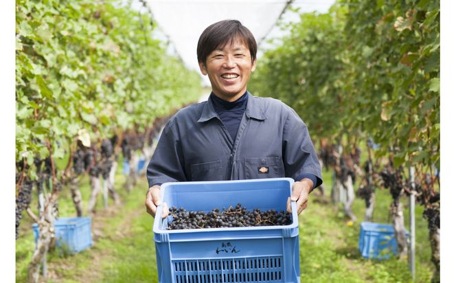 100%ぶどうジュースデラウェア&甲州　4本セット(各2本) 322032_CL004