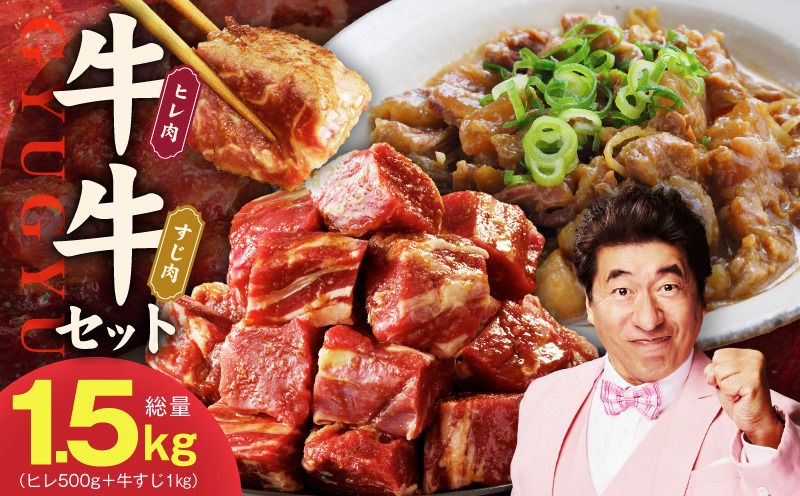 mrz0379 [氷温熟成×特製ダレ]牛ヒレ 500g+牛すじ肉 1kg 総量1.5kg[味付き 訳あり サイズ不揃い 小分け 冷凍 SDGs フードロス カレー 煮込みに]