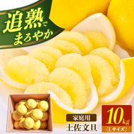 【先行予約】土佐文旦の創始 宮地文旦園の土佐文旦 家庭用小玉(L) 約10キロ 〈2027年3月上旬～4月下旬〉ぶんたん ブンタン 23～26個入 10kg フルーツ 柑橘 みかん 果物 くだもの 柑橘類 デザート 高知県 土佐市【宮地文旦園】[BQBP009]