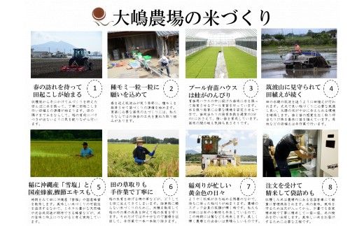 玄米 百笑米 「 瑞の穫 」 特別栽培 ミルキークイーン 10kg R7年産 米 コメ 茨城県 単一米 [AC016ci]