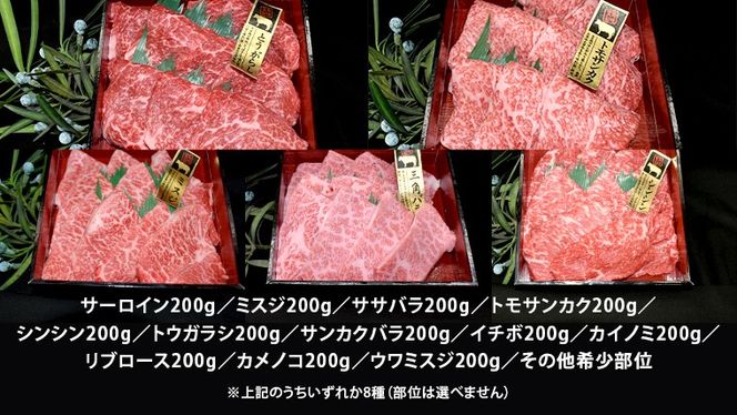 【 常陸牛 希少部位 】 焼肉 食べ比べ 8種 セット ( 茨城県共通返礼品 ) 国産 焼き肉 バーベキュー BBQ お肉 サーロイン バラ ブランド牛[BM052us]