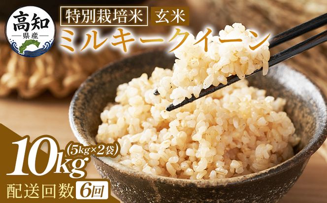 ミルキークイーン 玄米 定期便 10ｋｇ 【６回】特別栽培米 令和８年産 -  定期便 国産 精米 米 お米 ご飯 ごはん おにぎり おむすび 炊き込みご飯 高知県 香南市 常温 Wsr-0015