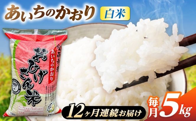 【12回定期便】あいちのかおり 白米 5kg×12か月 / 脇野コンバイン[AECP006]