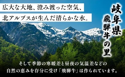 飛騨牛　焼肉セット ※離島への配送不可