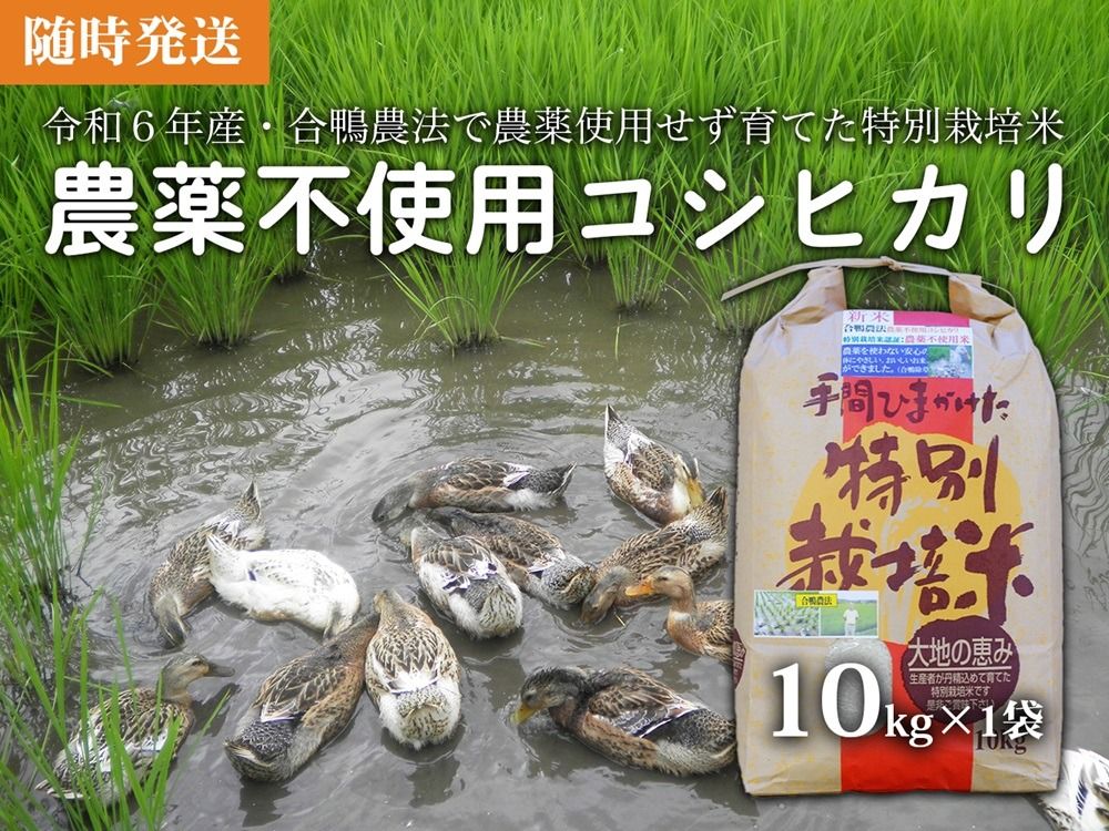 [令和6年産米][新米]農薬不使用コシヒカリ 合鴨農法 10kg(特別栽培米、旧名:会津磐梯山宝米)