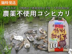 【令和6年産米】【新米】農薬不使用コシヒカリ 合鴨農法　10kg(特別栽培米、旧名：会津磐梯山宝米）