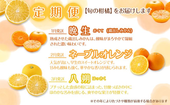 ［定期便］森本農園の手選別 かんきつ定期便 訳あり 約2kg サイズ混合 和歌山県産 ［北海道・沖縄・離島配送不可］［2027年1月～2027年5月まで全5回お届け］ ［RN174］ 303446_DJ90174