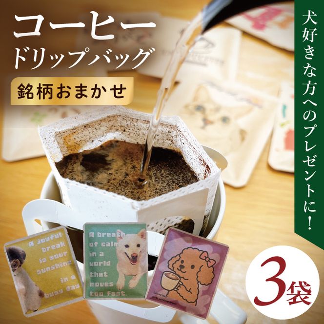ドリップバッグ　3個セット（犬だらけ）｜レギュラー コーヒー 珈琲 個包装 プチ ギフト いぬ 茨城県 取手市（CC002）