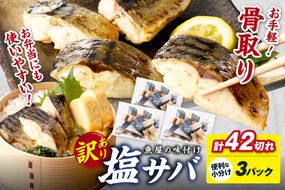 定期便2回【訳あり】魚屋の味付け骨取り塩サバ2パック（28切れ×2回/約1.4kg）※隔月 訳あり 魚 加工品 有塩 塩さば 骨取り 冷凍 お弁当 簡単 ごはん 朝食 昼食 夕食 一人暮らし 惣菜 おそうざい おかず 鯖 骨取り鯖 海鮮　TB00053