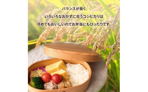 令和7年産米 土浦市産 コシヒカリ 精米5kg◇ ｜ 茨城県土浦市のお米が収穫される旧新治村地区は、ホタルが舞うのどかな里です