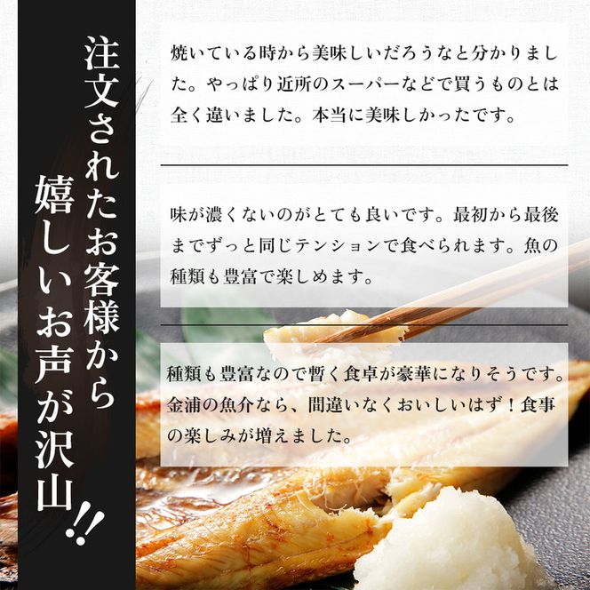 干物セット 10品程度(5～8種)「秋田のうまいものセットA」（干物 セット ひもの 冷凍 詰め合わせ ） 国産 無添加 長期保存 鮭 さば カレイ一夜干し 