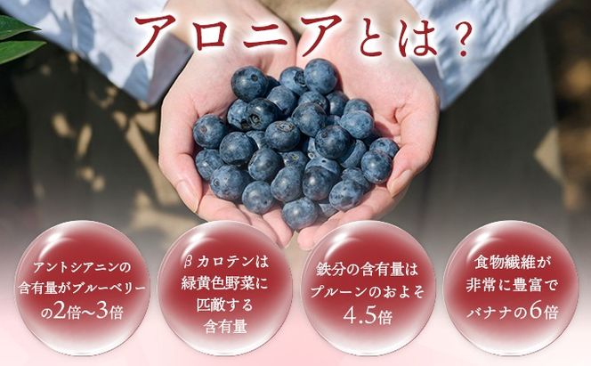 北海道 伊達大滝産 アロニア ベリー 赤い はちみつ 50g×1 国産 ハチミツ 蜂蜜 ハニー 赤はちみつ スーパーフード 北のハイグレード食品 ギフト 花カフェアイバレー 送料無料