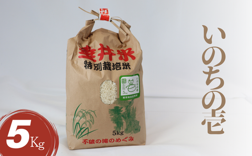 AL-4a 特別栽培米 垂井町産 いのちの壱 5kg