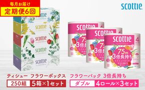 【定期便6回】【毎月お届け】【スコッティ】 ティシュー フラワーボックス 250組（5箱パック×1セット）＋フラワーパック 3倍長持ち（4ロール（ダブル）パック ×3セット） ティッシュ トイレットペ