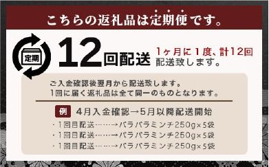 【定期便 12回配送】【石垣島ブランド豚】もろみ豚 豚ミンチ 250g×60袋【合計15kg】【もろみで育てる自慢の豚肉】 簡単 便利 小分け 12ヶ月 12か月 12ヵ月 AH-21-1