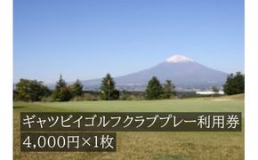C19ギャツビイゴルフクラブプレー利用券　１枚 【小山町内 ゴルフ場 共通利用券】
