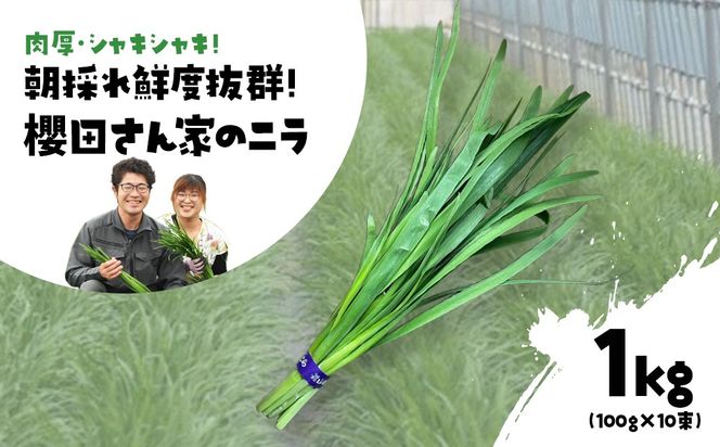 ytRszys\zy12甭zEVLVL! ̂NxQ! NcƂ̃j 1kg(100g×10) SMCS001