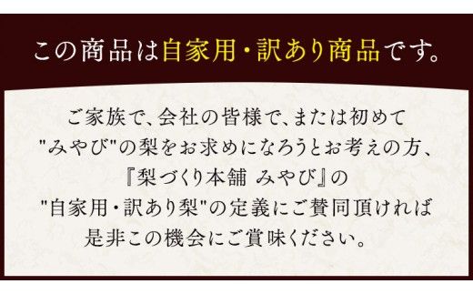 これぞ甘熟 『 幸水 』 5kg ( 自家用 ) 2026年産 先行予約 フルーツ 果物 国産 日本産 梨 ナシ なし 和梨 [DJ001ci]