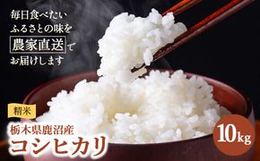 令和7年度産 コシヒカリ 精米 10kg | 白米 米 お米 こしひかり 農家直送 栃木 鹿沼市