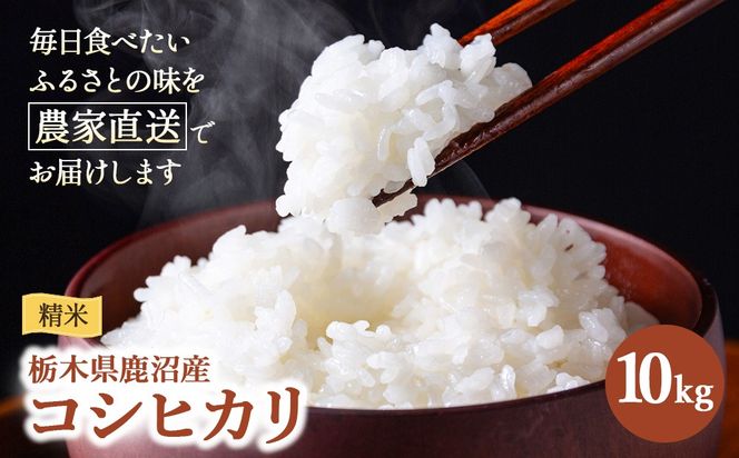 令和7年度産 コシヒカリ 精米 10kg | 白米 米 お米 こしひかり 農家直送 栃木 鹿沼市