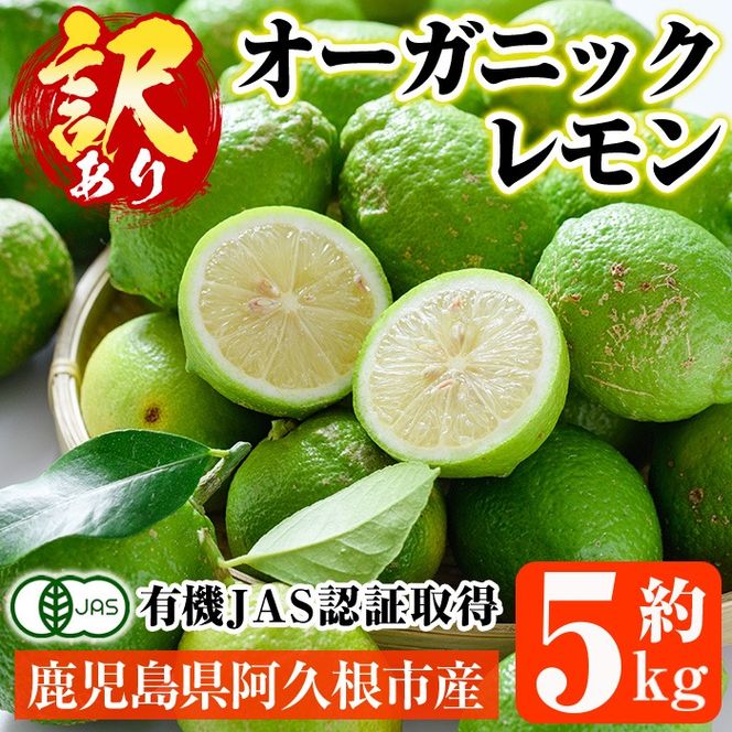 数量限定！有機JAS 訳ありオーガニックレモン(約5kg) 国産 訳あり レモン 檸檬 果実 果物 フルーツ 柑橘 デザート 期間限定 有機栽培 健康志向【中村農場】a-9-9