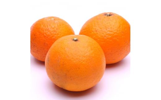 ＜2月より発送＞厳選 清見5kg+250g（傷み補償分）【光センサー食頃出荷】【樹上完熟きよみオレンジ・清見タンゴール・清美】【ikd198B】