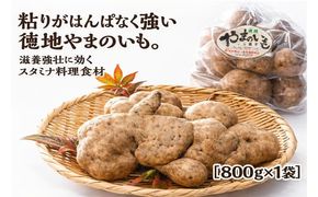 E118 徳地やまのいも800g袋（ご家庭用）×1袋
