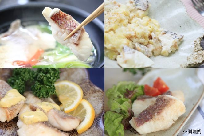 AJ718 真鯛フィーレ （ 切り身 約150g×3パック ) 干物 セット 6〜8匹 （ 3〜5種類 ）[干物セット 詰め合わせ 真鯛 まだい 鯛 タイ 天然 鮮魚 切り身 魚 白身魚 新鮮 骨なし 骨取り 小分け 手軽 真空パック 国産 株式会社 入千代商店 長崎県 島原市]