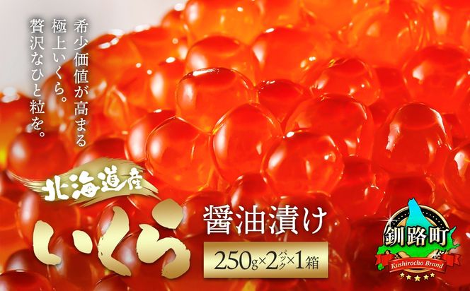 北海道産 いくら醤油漬け 500g（250g ×2パック） 発送時期が選べる | 国産 いくら いくら醤油漬 イクラ ikura 天然 鮭 サーモン 鮭卵 鮭いくら 冷凍 配送 選べる 指定 配送月指定 配送月が選べる 笹谷商店 直営 釧之助本店 スピード発送 北海道 釧路町 釧路超 特産品　121-1920-432-129