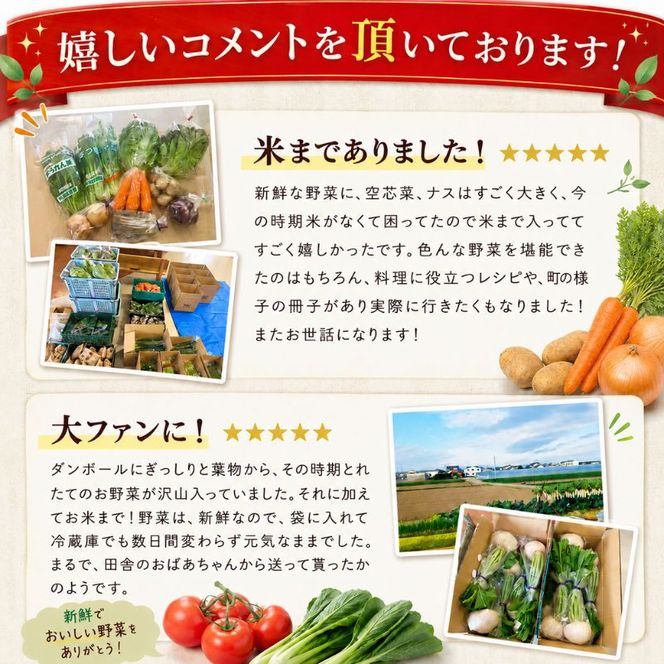 【定期便 年6回】おいしかぁ～便 詰め合わせセット 6ヶ月 お楽しみ ファミリーセット 家族用 野菜 やさい 米 新鮮 新鮮野菜 家庭用 新鮮 福岡県 大刀洗町