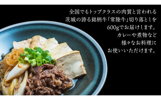 【 全3回 隔月 定期便 】常陸牛 切り落とし 約 600g （茨城県共通返礼品：行方市） ひたちぎゅう 黒毛和牛 牛肉 ひたち牛 ブランド牛 切り落し 切落し [EQ023us]
