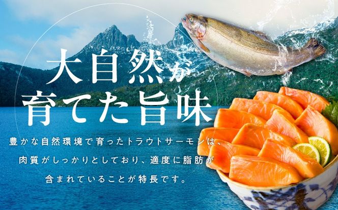 kgp0049-1 お刺身用 サーモン トラウト 2kg【小分け 約250g×8P ポーション ブロック 柵 訳あり サイズ不揃い さーもん 数量限定】