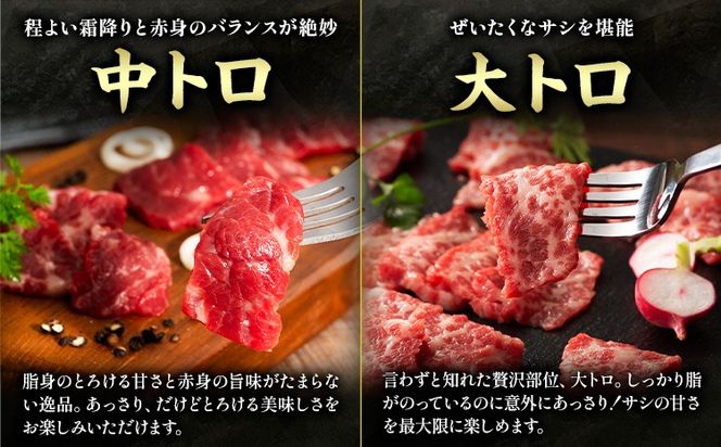 馬肉 馬刺し 霜降り馬刺し詰合せ 約370g タレ ユッケのタレ 生おろし生姜付き 道の駅竜北《60日以内に出荷予定(土日祝除く)》 熊本県 氷川町 送料無料 肉 赤身肉 メン 大トロ 中トロ チョーチン ユッケ お取り寄せグルメ---sh_fyesmfta_24_60d_50000_370g---