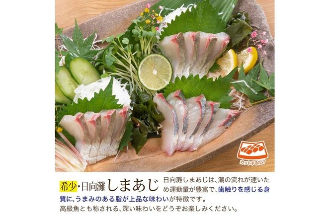 【北海道・離島配送不可】新鮮！ヒラメとしまあじのお刺身セット(合計約600～800g)お刺し身 魚介 海鮮 ひらめ ヒラメ シマアジ 詰め合わせ 詰合せ 真空パック【UZ-08】【請関水産】