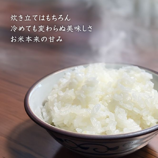 【3か月定期便】令和7年産　魚沼産コシヒカリ 精米10kg×3回　計30kg　米 コメ こしひかり 精米 ブランド米 お取り寄せ 十日町市