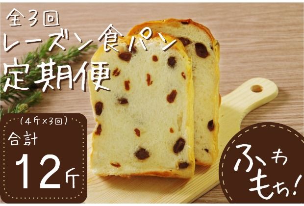 [室戸海洋深層水仕込み]レーズン食パン連続3回定期便 食パン ぱん 朝食 ギフト 定期便 人気 食事用パン おやつ レーズン ぶどう ドライフルーツ4斤×3回