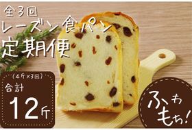 【室戸海洋深層水仕込み】レーズン食パン連続３回定期便 食パン ぱん 朝食 ギフト 定期便 人気 食事用パン おやつ レーズン ぶどう ドライフルーツ４斤×３回