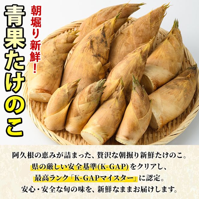 ＜先行予約受付中！2027年2月下旬以降順次発送予定＞ 【平日着】朝堀り青果たけのこ(約3kg) 国産 新鮮 タケノコ 青果 竹の子 筍 野菜 春 旬 期間限定 数量限定 【上野食品】akn008-19-A