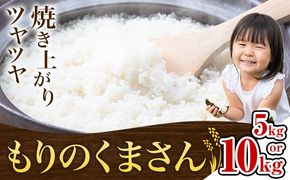 米 もりのくまさん 米 選べる 内容量 計5kg 計10kg 《30日以内に出荷予定(土日祝除く)》 お米 こめ 熊本県産 精米 ブランド米 ご飯---mifune_nsm_4_5m---