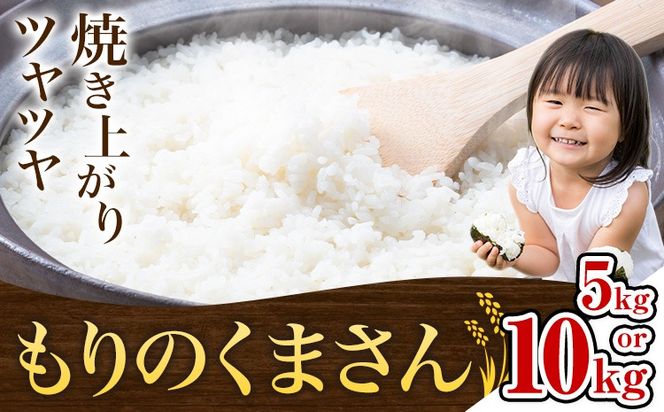 米 もりのくまさん 米 選べる 内容量 計5kg 計10kg 《30日以内に出荷予定(土日祝除く)》 お米 こめ 熊本県産 精米 ブランド米 ご飯---mifune_nsm_4_5m---